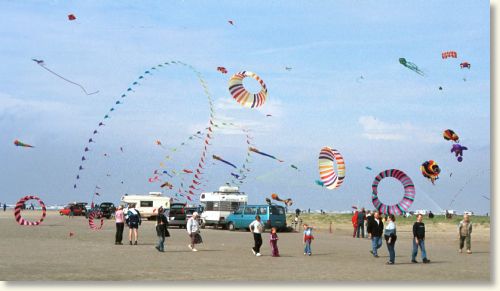 Billed nr. 14435, 7/9-2002