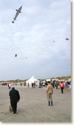 Billed nr. 14601, 7/9-2002