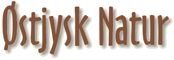 Østjysk Natur